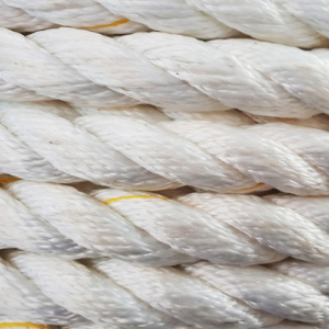 SFR-004-ROPEPRN-AMS-2018